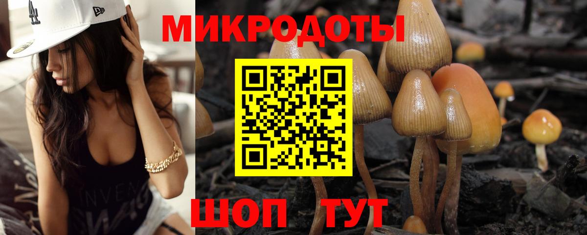 купить наркотик  Вход с VPN  Кимры  Галлюциногенные грибы прущие грибы  Галлюциногенные грибы мухоморы 